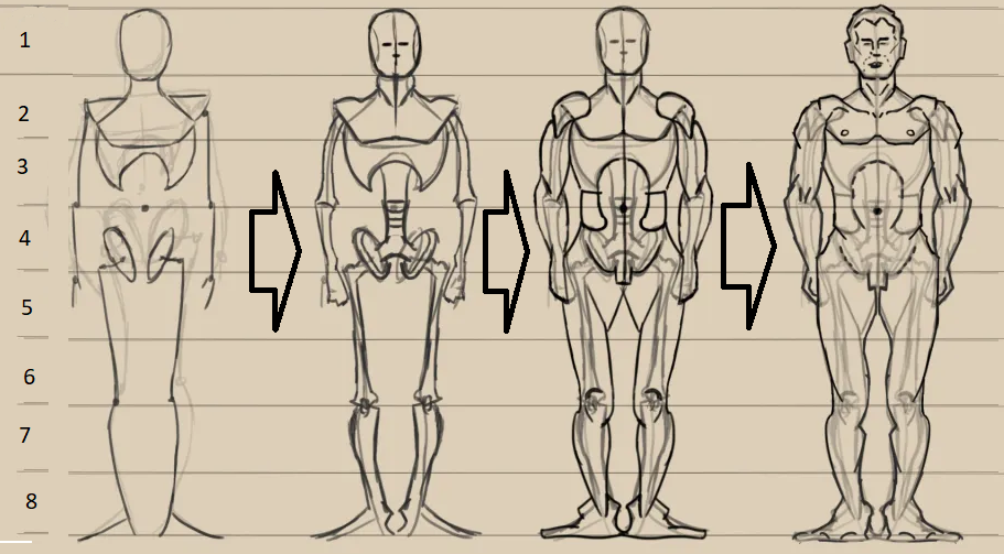 Loomis Mannequin: Best Help to Drawing People 7 Great! You're almost done. To complete the Loomis mannequin, refine any rough edges and use contour lines to emphasize the 3D forms.