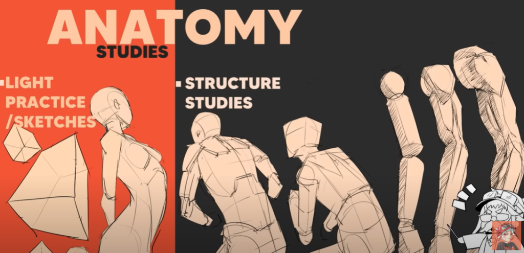 Get Better At Anatomy Drawing: Tips to Improve Your Art 8 youtube video link for anatomy studies