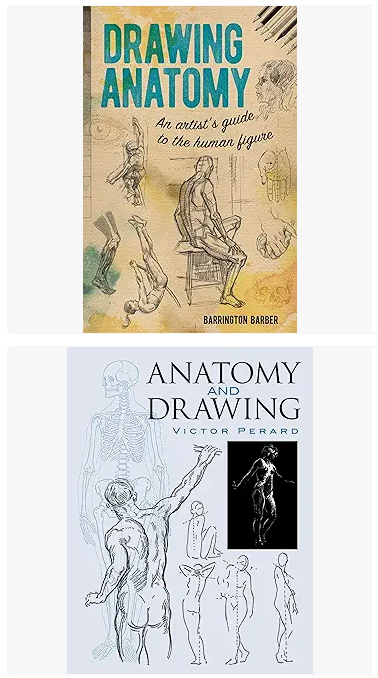 A Guide To Human Figure Drawing: Techniques, Challenges, and Practice Tips 17 drawing anatomy and the human figure for beginner books