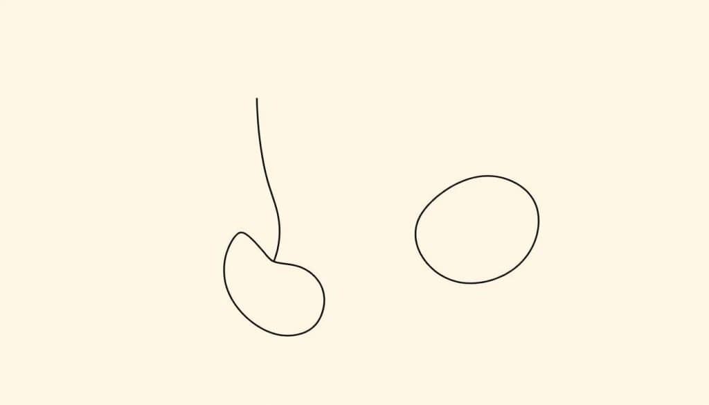 Simple Line Art Drawing Ideas: Easy Inspiration for All Artists 16 line art drawings of abstract fruit like cherry and orange