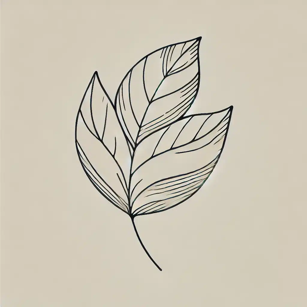 Simple Line Art Drawing Ideas: Easy Inspiration for All Artists 19 minimalist contour drawing of a leaf